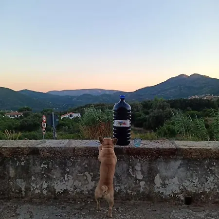 Casa Luciana Дом отдыха