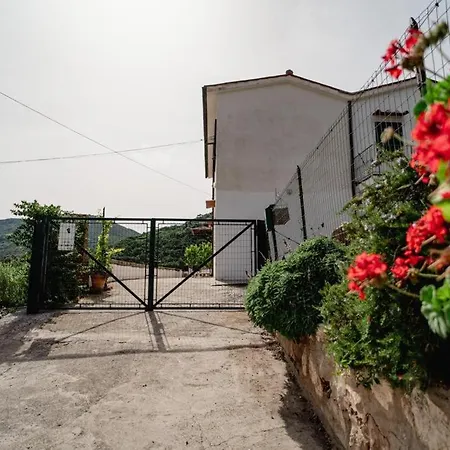 Casa Luciana Дом отдыха *